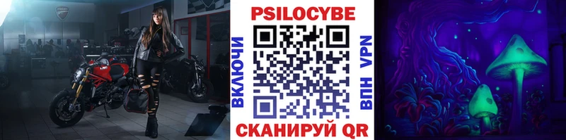 blacksprut зеркало  Краснодар  Псилоцибиновые грибы Magic Shrooms 